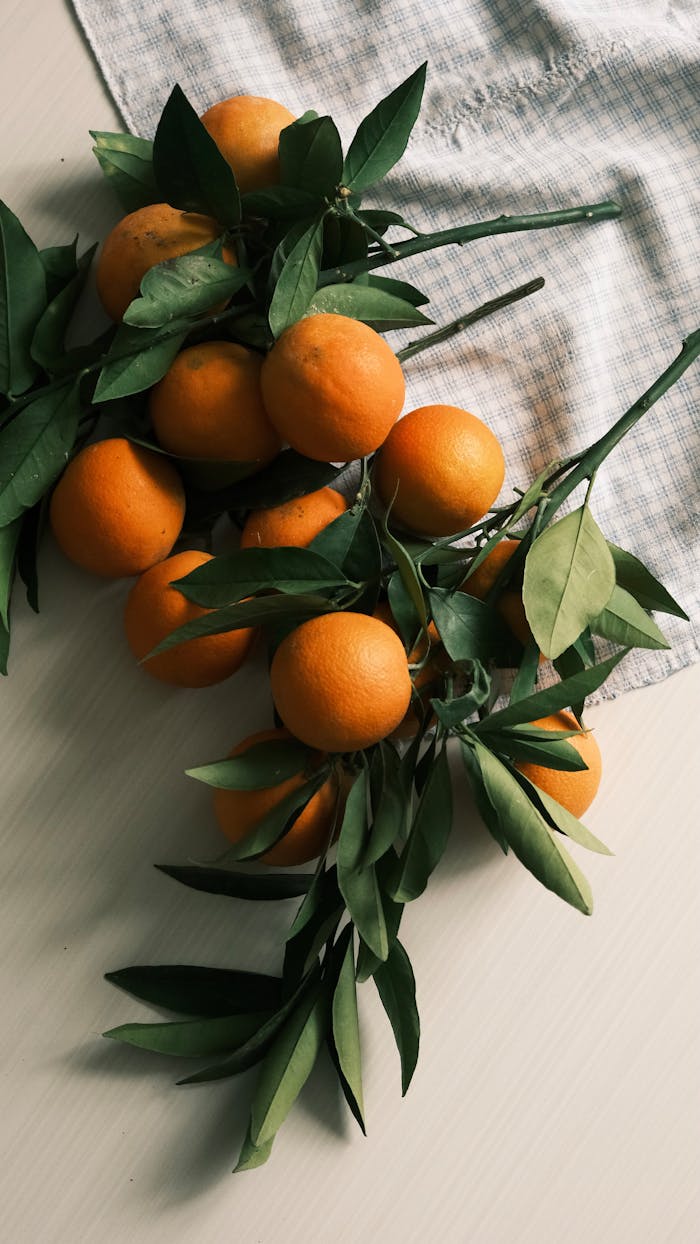 Aesthetic arrangement of fresh oranges and green leaves on a rustic tabletop.