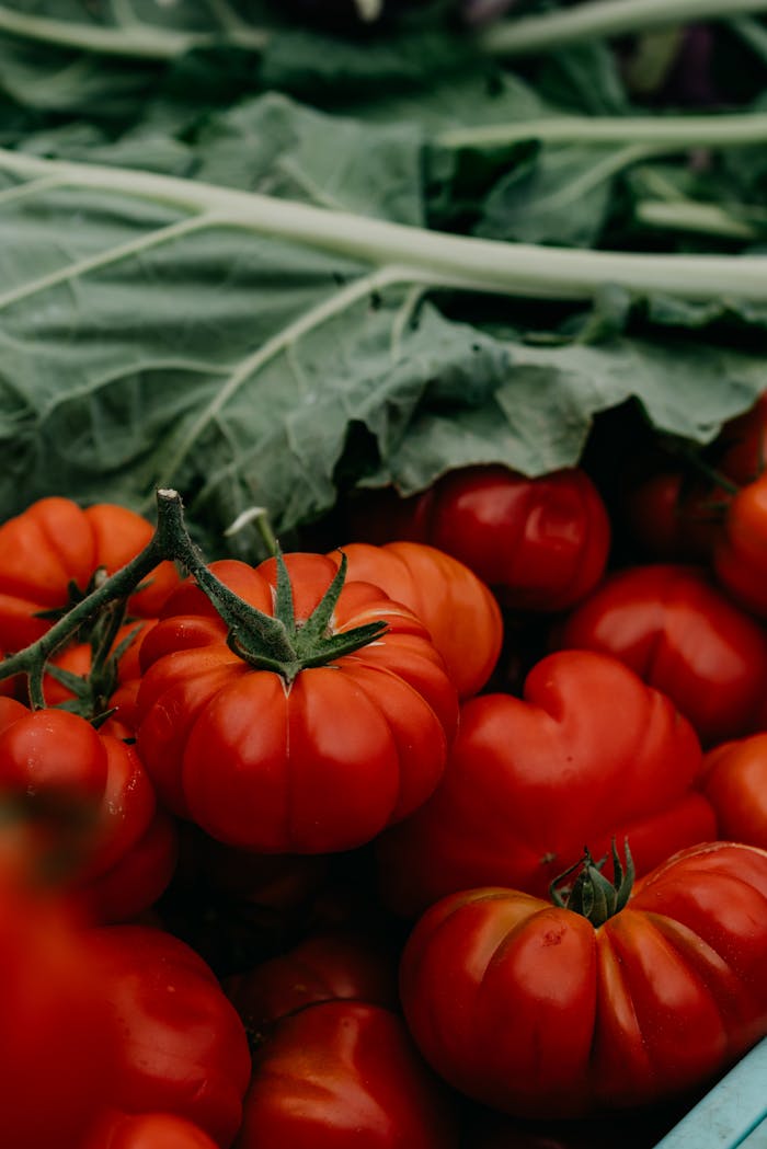 A close-up shot of fresh, ripe tomatoes with leafy greens, highlighting vibrant colors and textures.